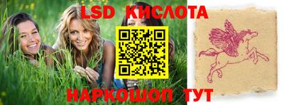 гашик Ливны
