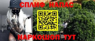 гашик Ливны