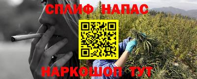 гашик Ливны
