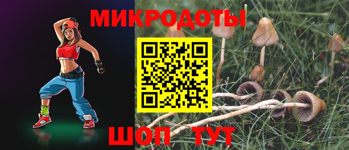 Елец  Галлюциногенные грибы Magic Shrooms  Вход с VPN 