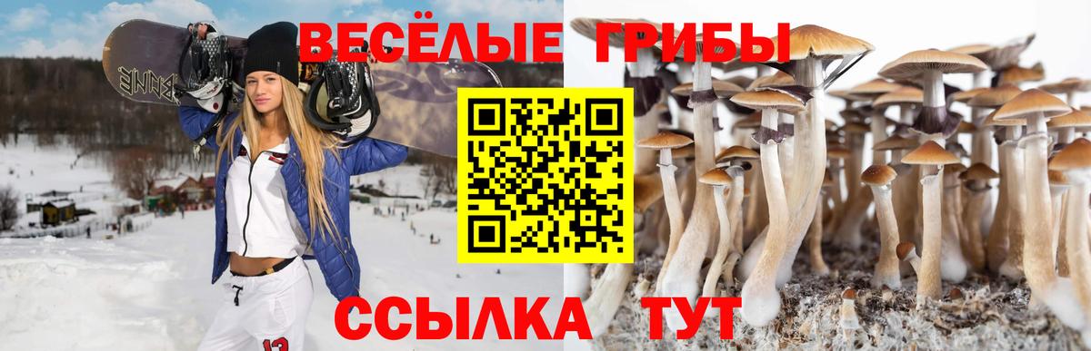 Псилоцибиновые грибы ЛСД Елец